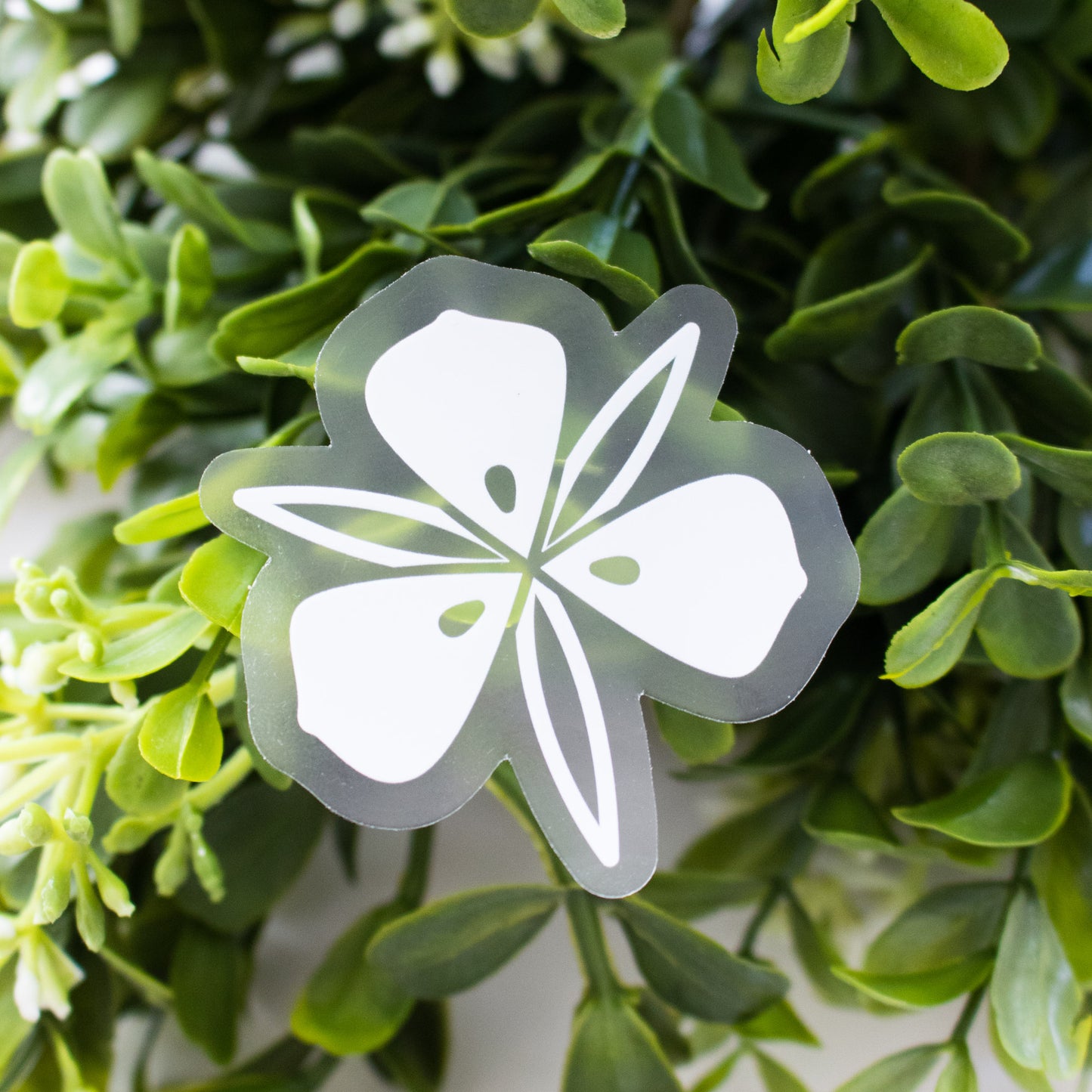 Clear Sego Lily Sticker
