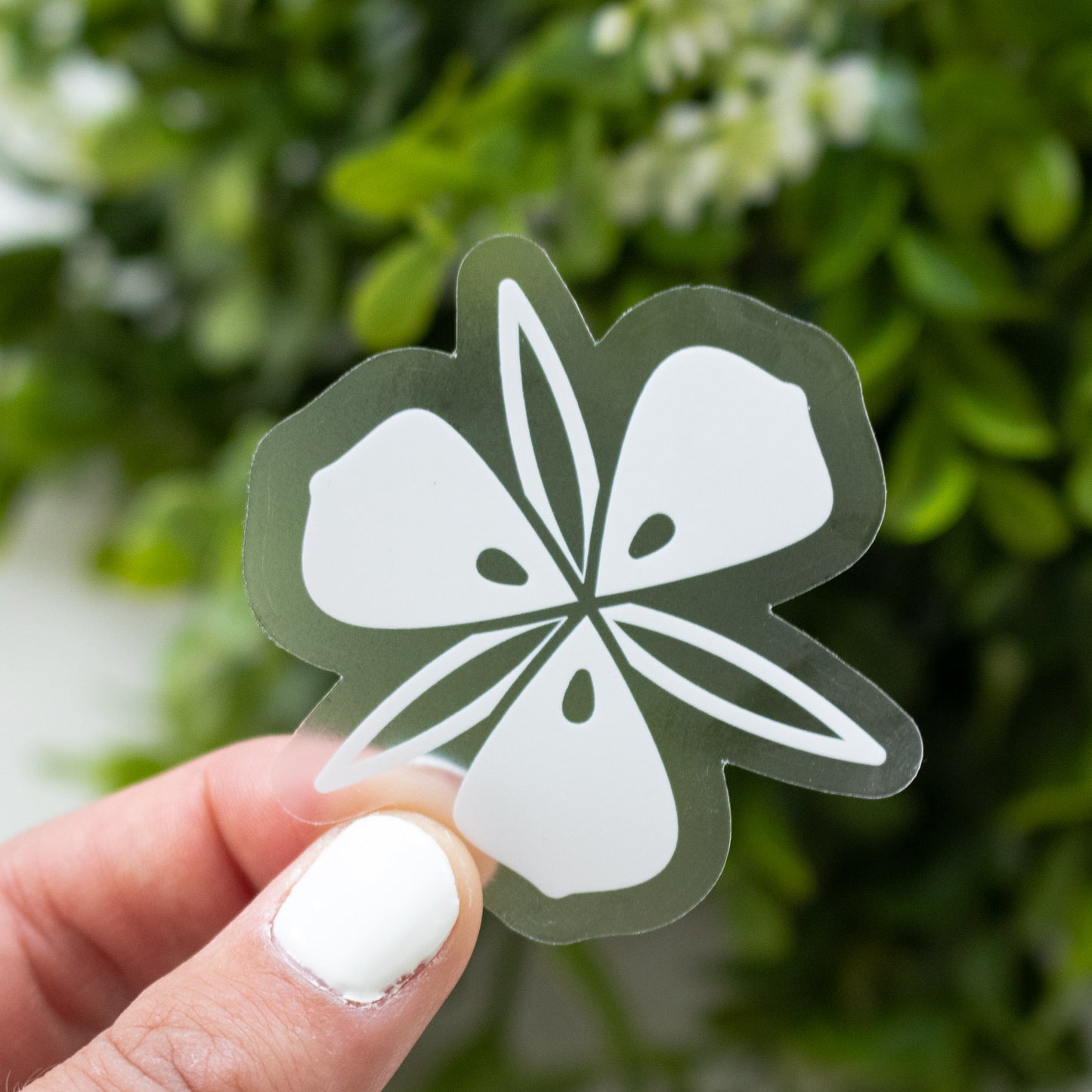 Clear Sego Lily Sticker