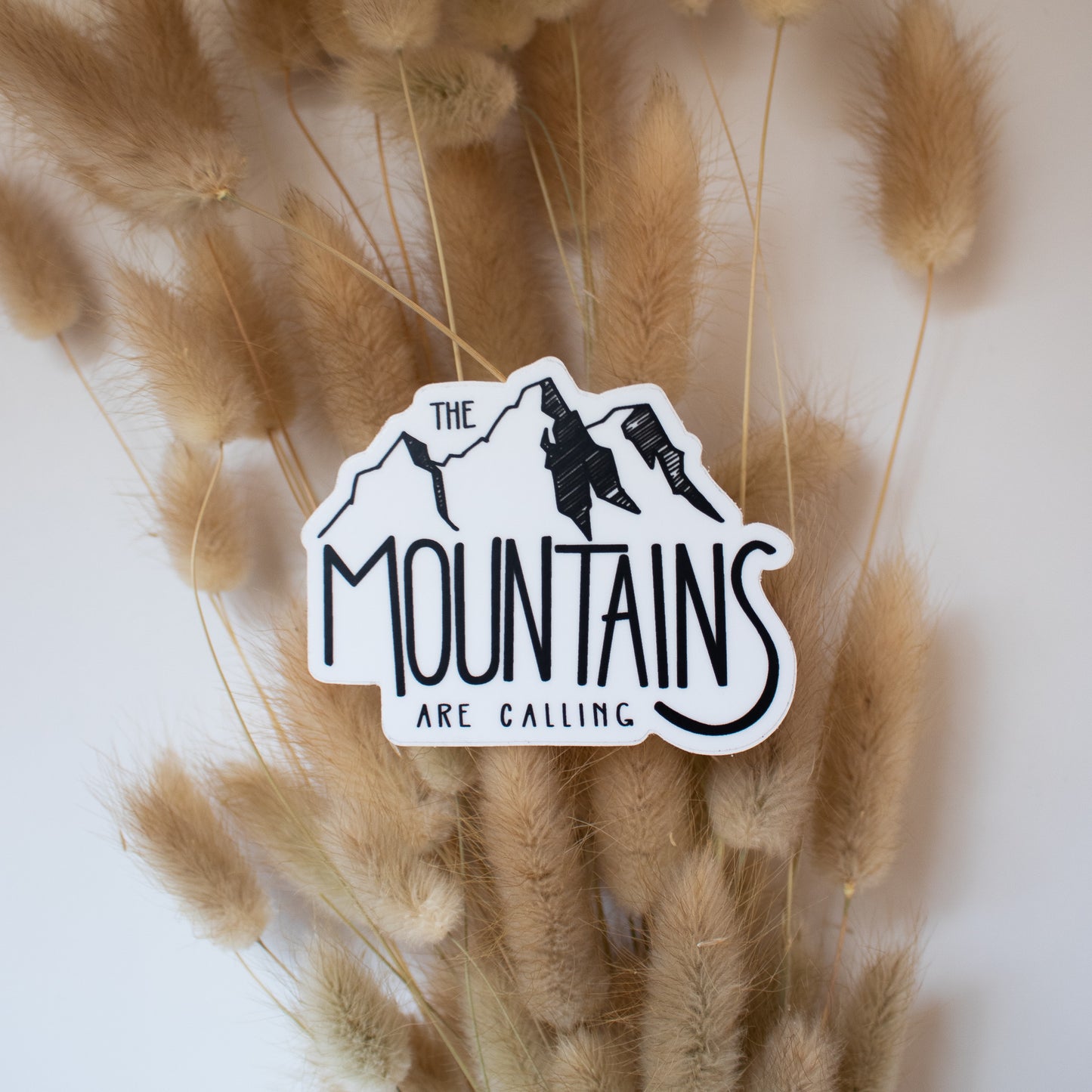 The Mountains are calling and I must go