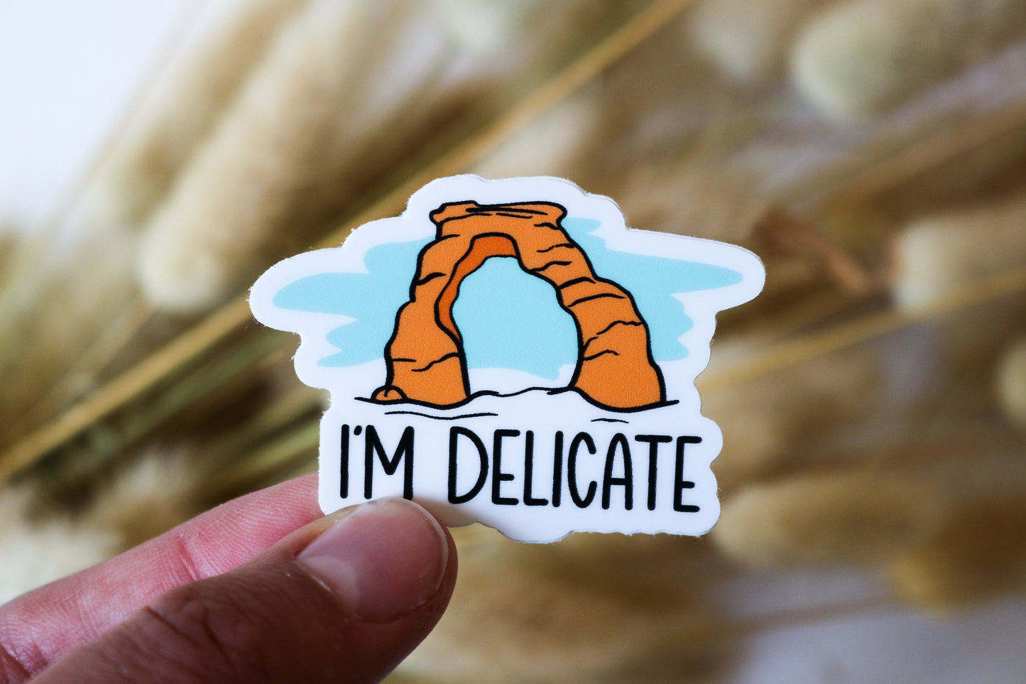 National Park Sticker