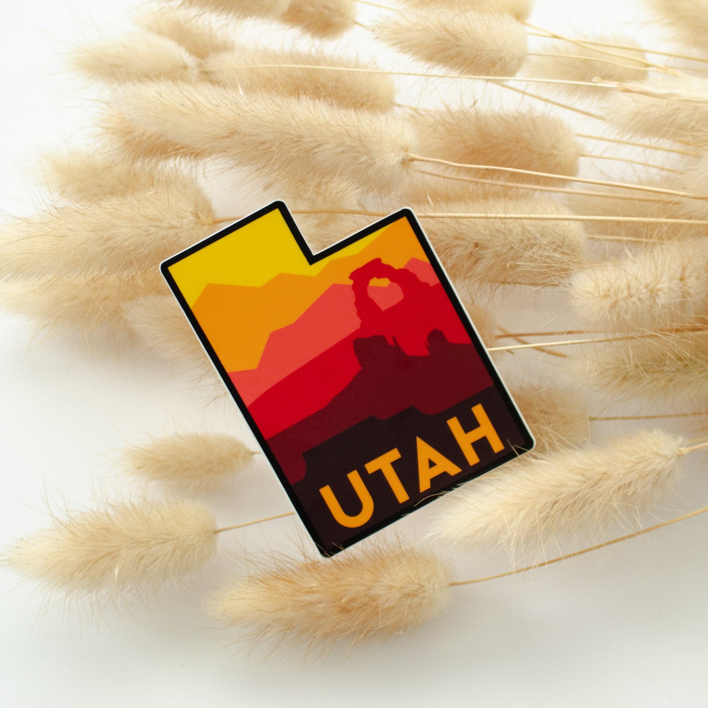 Utah State Gradient Magnet