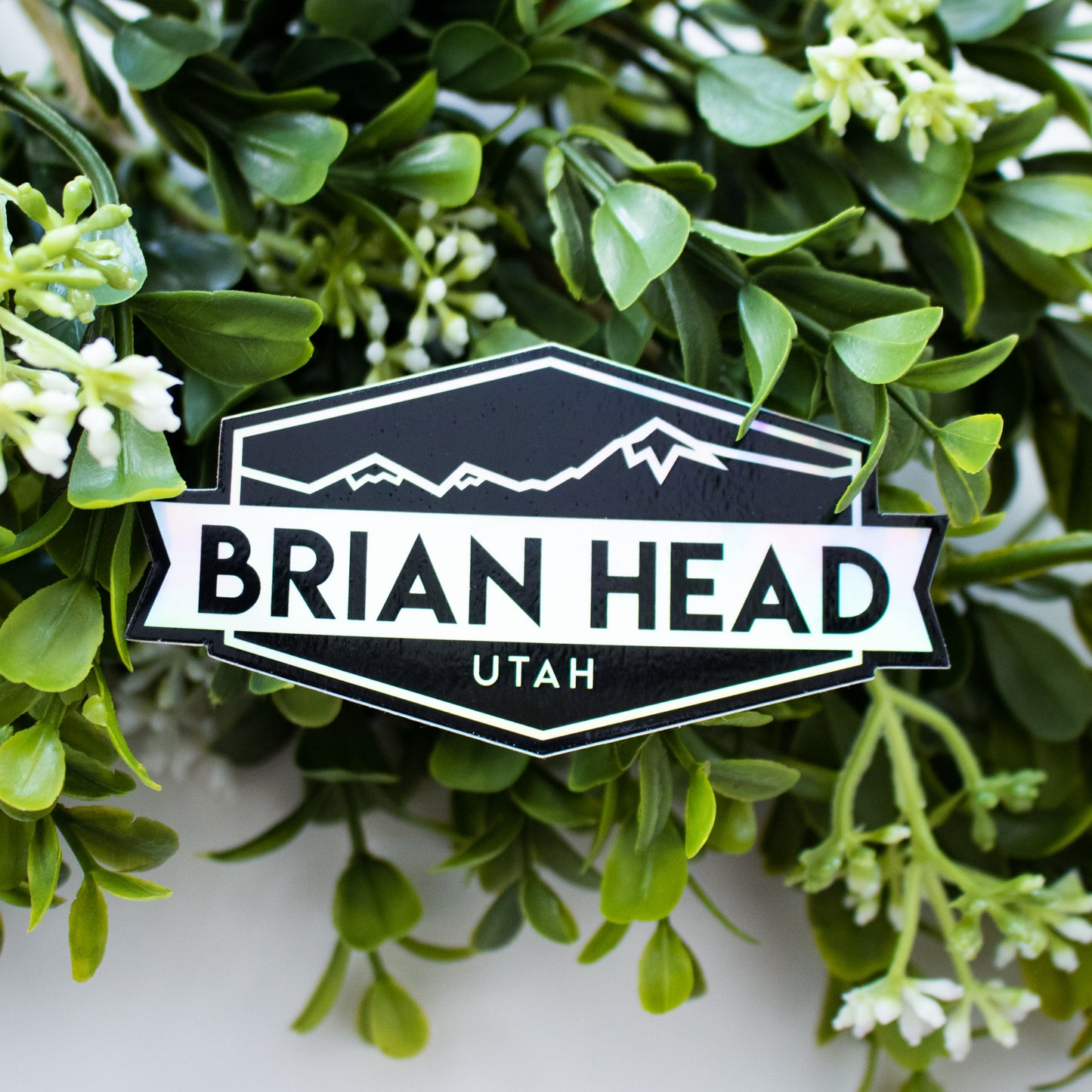 Brian Head Utah Holographic Sticker