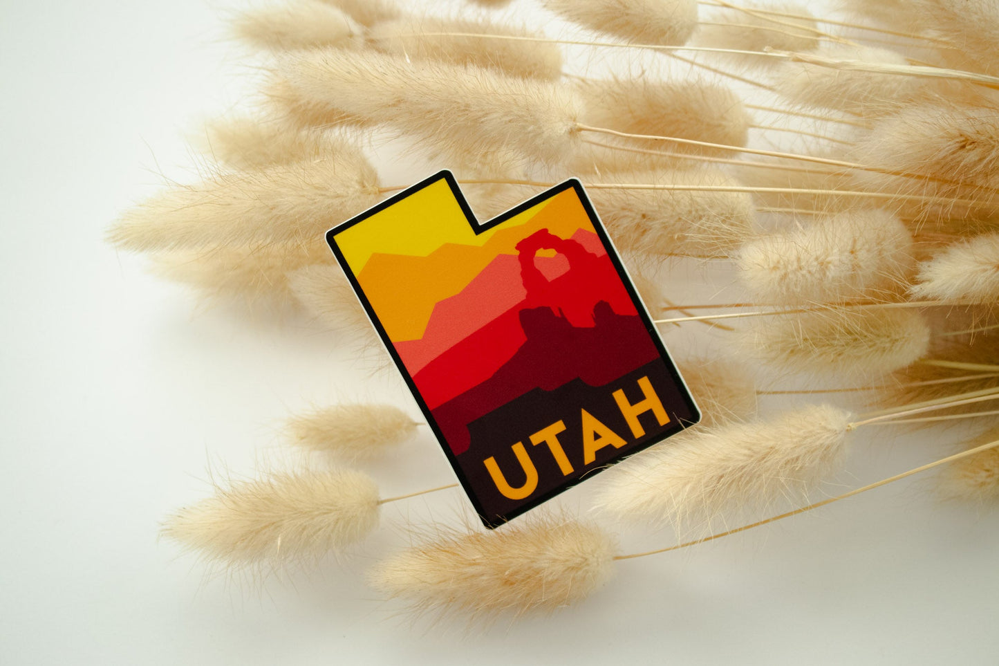 Utah State Gradient Magnet