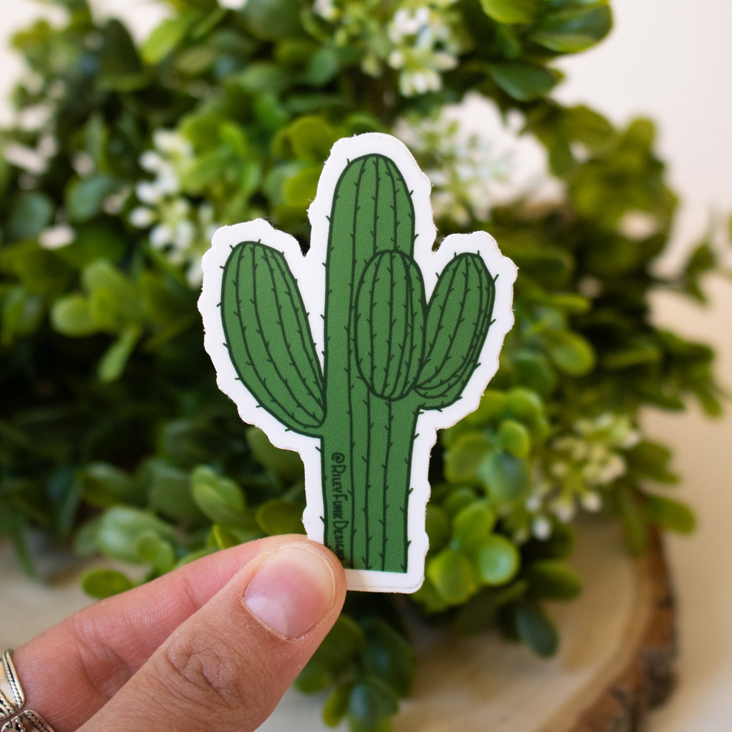 Cactus Sticker