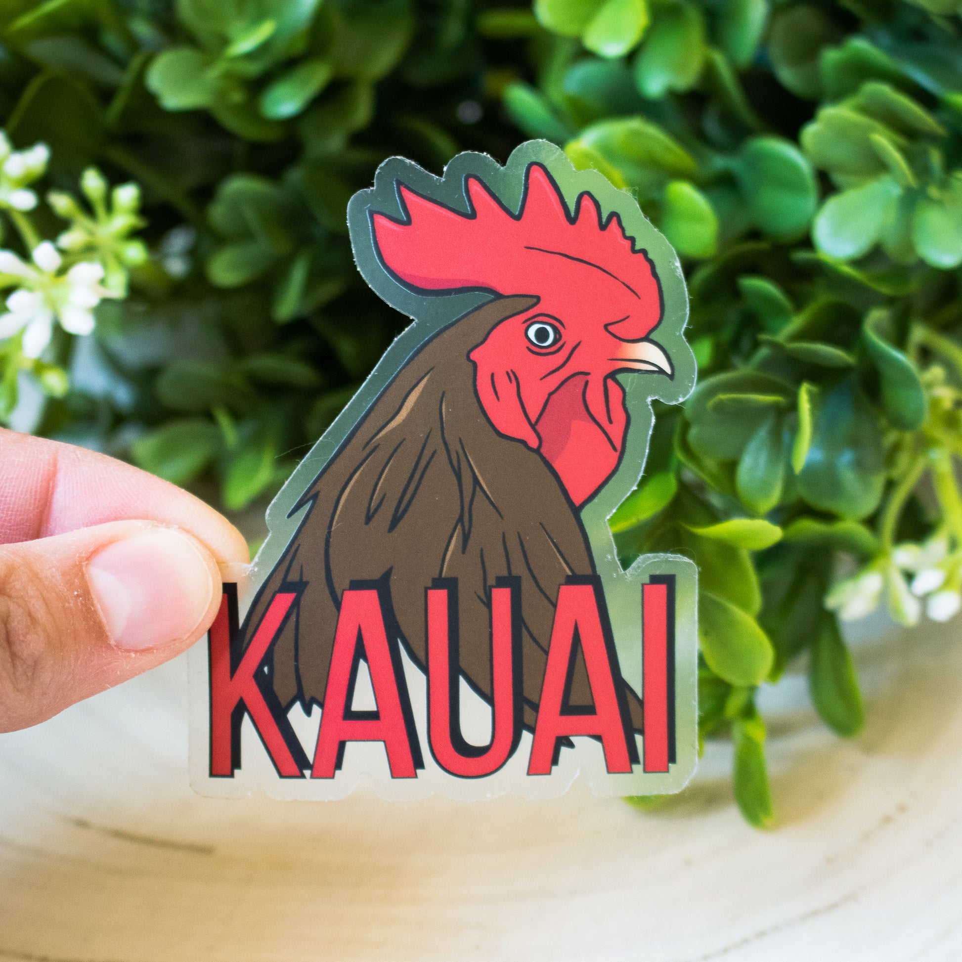 Kauai Rooster