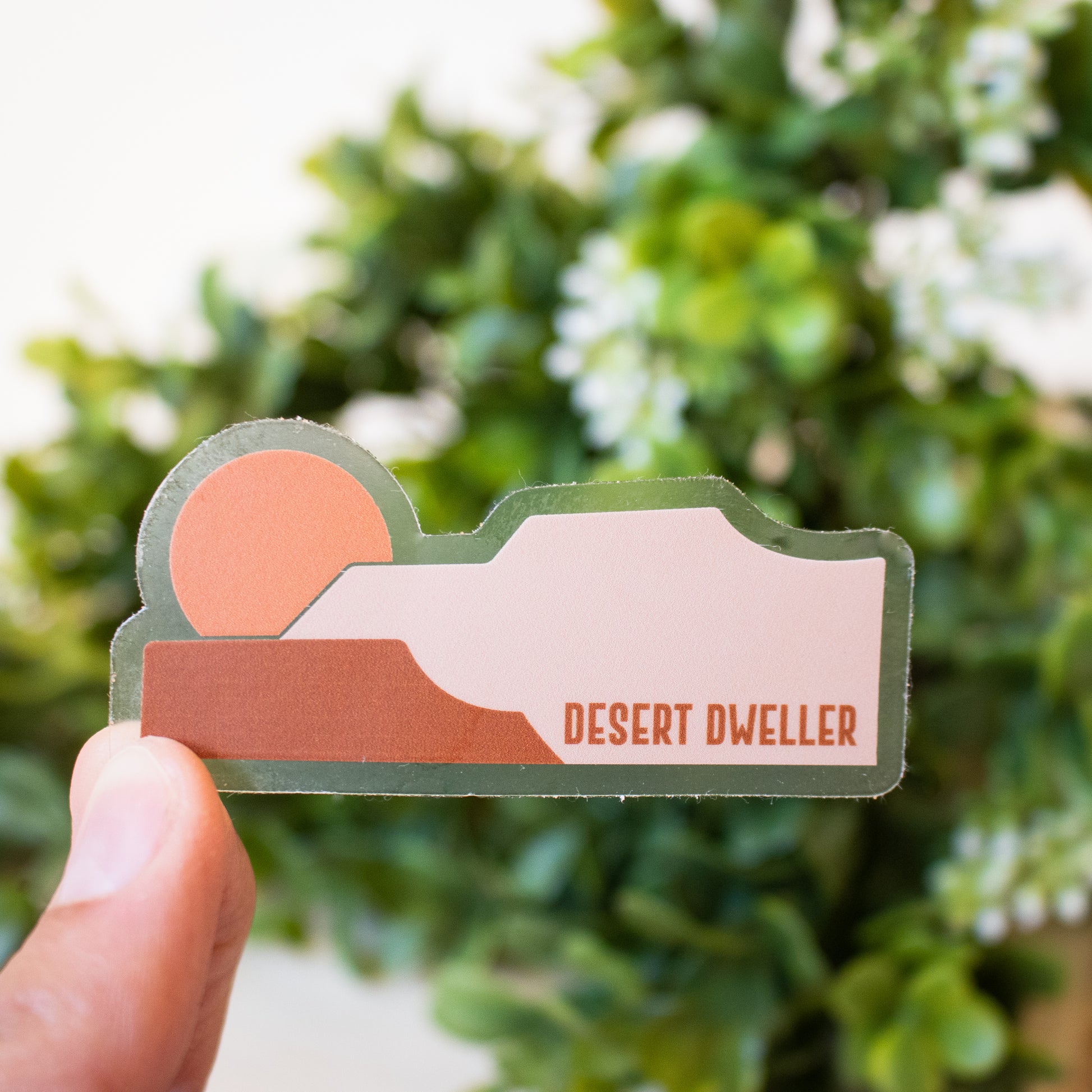 Desert Sticker Bushes