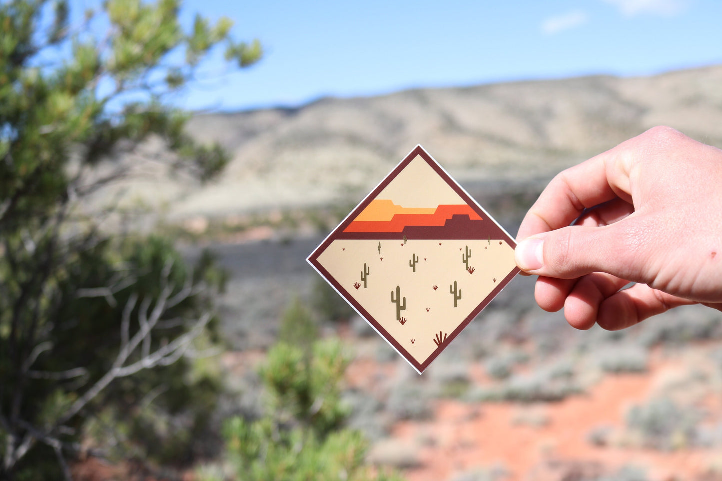 Desert Laptop Decal