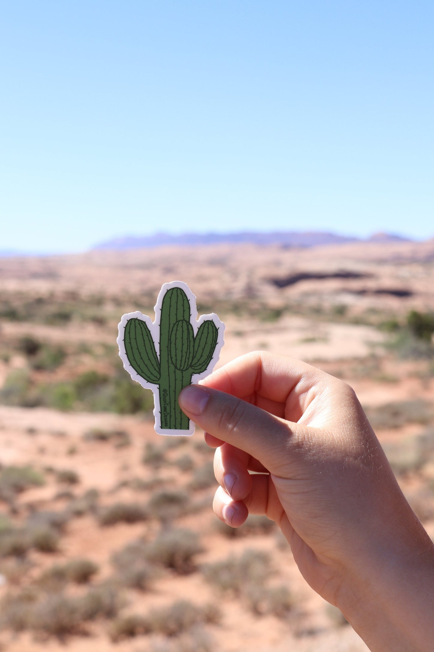 Cactus Sticker